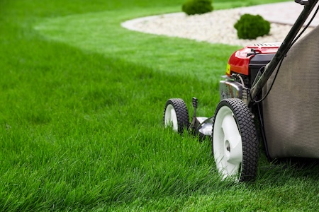 Top Summer Lawn Maintenance Tips in Minneapolis