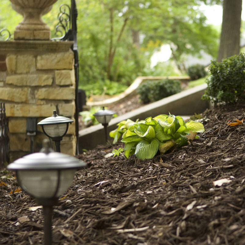 Landscaping Image